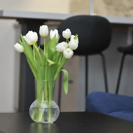 Rondo Premium * Mostar