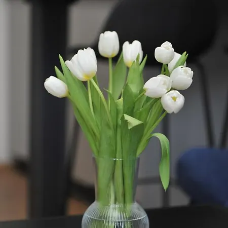 Rondo Premium Apartment Mostar